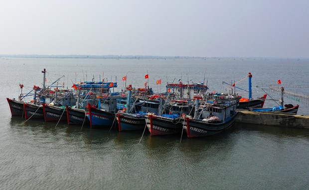 Tàu thuyền neo đậu tránh bão số 6 tại Thừa Thiên-Huế. (Ảnh: Hồ Cầu/TTXVN)