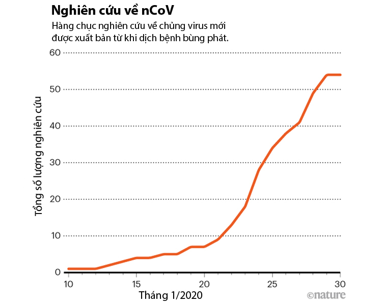  Hơn 50 nghiên cứu về nCoV được xuất bản chỉ trong 20 ngày. Nguồn: Nature
