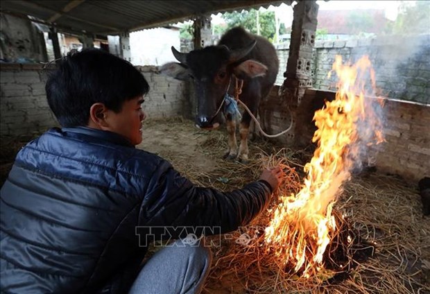 Miền Bắc tiếp tục rét đậm, có nơi rét hại. (Ảnh: Phan Tuấn Anh - TTXVN)