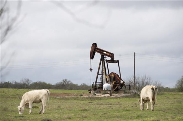 Một trạm bơm dầu ở Luling, bang Texas, Mỹ. (Nguồn: THX/TTXVN)