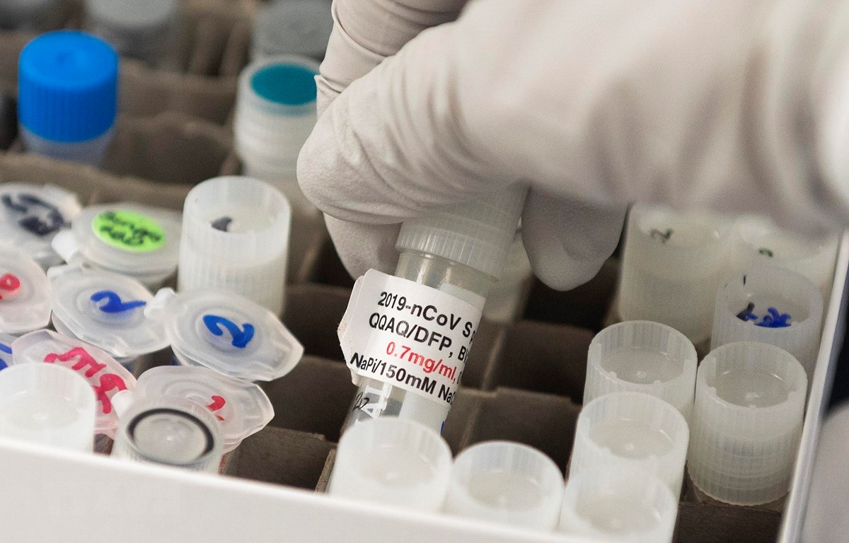 Vắcxin phòng COVID-19 được nghiên cứu tại phòng thí nghiệm Novavax ở Rockville, Maryland, Mỹ ngày 20/3/2020. (Ảnh: AFP/TTXVN)