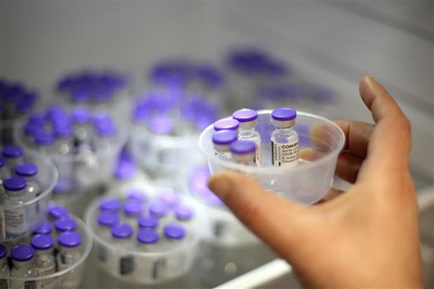Vaccine ngừa COVID-19 của Pfizer-BioNTech. (Ảnh: AFP/TTXVN)