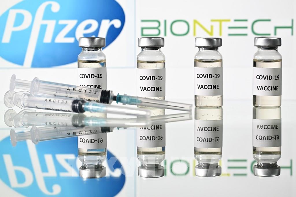 Vaccine ngừa COVID-19 của hãng Pfizer/BioNTech. (Ảnh: AFP/TTXVN)
