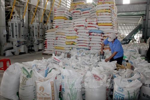 Xuất gạo dự trữ quốc gia hỗ trợ 9 tỉnh. Ảnh: TTXVN