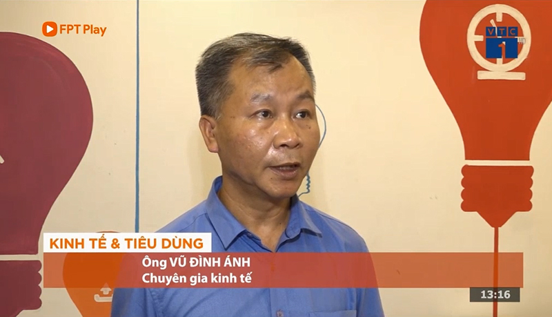 Ông Vũ Đình Ánh, Chuyên gia kinh tế