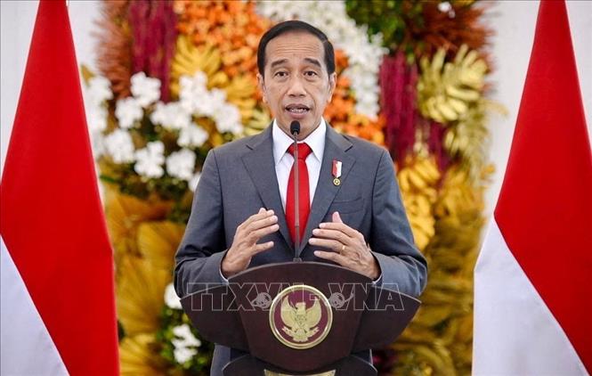 Tổng thống Indonesia Joko Widodo phát biểu tại Bogor. Ảnh tư liệu: AFP/TTXVN