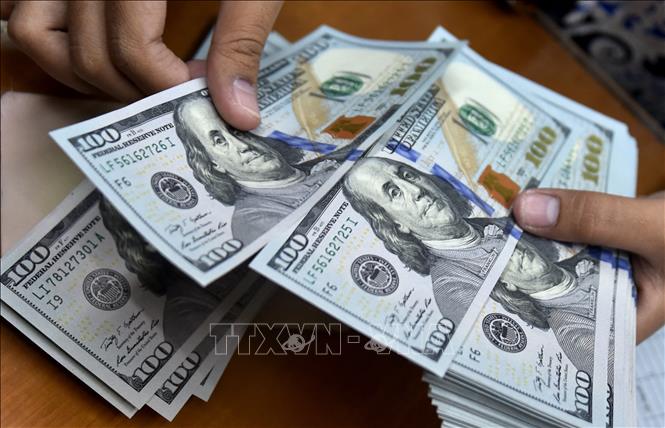 Đồng USD. Ảnh minh họa: AFP/TTXVN
