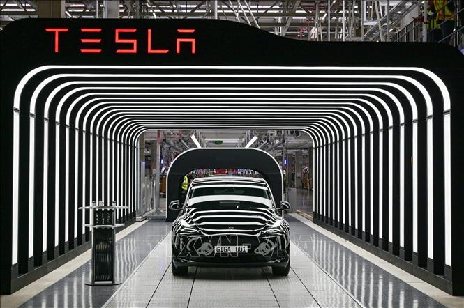 Một mẫu ô tô điện của hãng Tesla. Ảnh: AFP/TTXVN