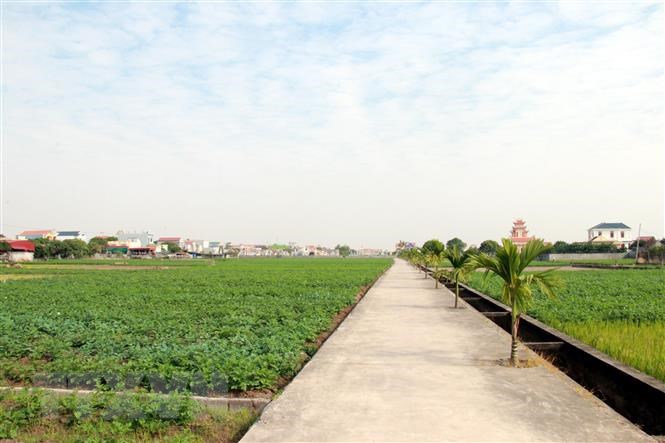 Ảnh minh họa. Nguồn: Internet