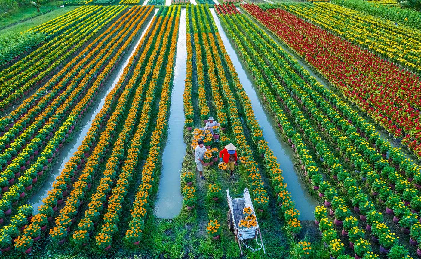 Mô hình du lịch gắn với sản xuất nông nghiệp bài 2 Hướng phát triển du  lịch xanh bền vững  Báo Đồng Khởi Online