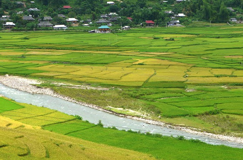 Ảnh minh hoạ. (Nguồn: Internet)