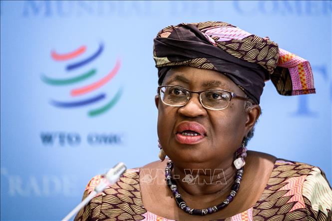 Tổng giám đốc WTO Ngozi Okonjo-Iweala. (Ảnh tư liệu: AFP/TTXVN)