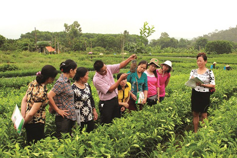 Triển khai các hoạt động nghiên cứu thực tế nhằm nâng cao trình độ chuyên môn, nghiệp vụ cho đội ngũ giảng viên.