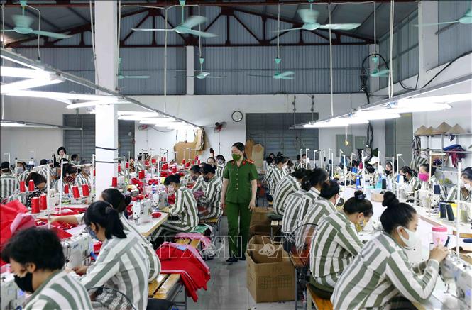 Thủ tướng yêu cầu tiếp tục theo dõi, quản lý, giáo dục, giúp đỡ, dạy nghề và tạo việc làm cho người được đặc xá trở về cộng đồng xóa bỏ mặc cảm, làm ăn lương thiện, hạn chế tái phạm tội và vi phạm pháp luật.