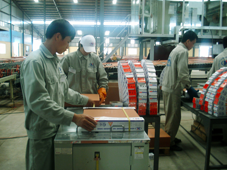 Đóng gói sản phẩm gạch men cao cấp tại Công ty CP Tập đoàn Hoàng Hà (Đông Triều, Quảng Ninh). -Ảnh: baoquangninh