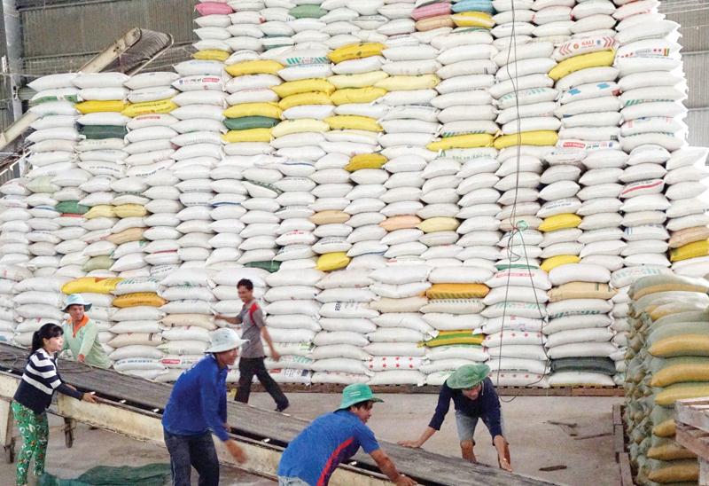 Gạo Việt Nam đang có nhiều cơ hội xuất khẩu sang thị trường EU