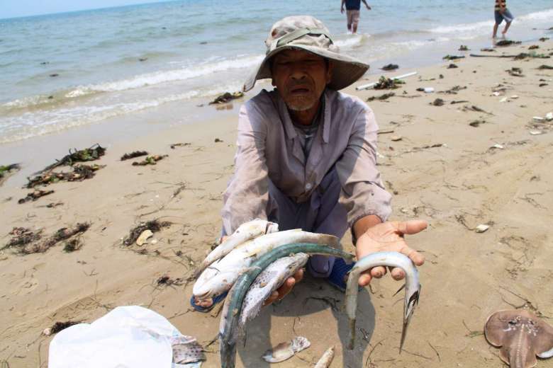 Cá chết hàng loạt ở ven biển miền Trung (Ảnh: AFP)