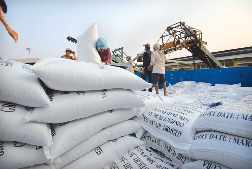 Xuất khẩu gạo năm 2016 có khả năng giảm mạnh
