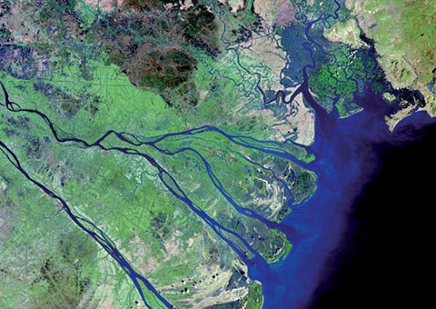 Hình ảnh Đồng Bằng Sông Cửu Long chụp từ vệ tinh