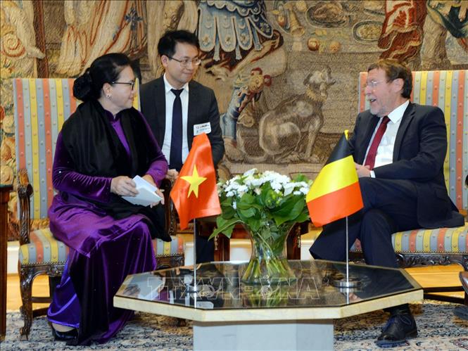 Chủ tịch Quốc hội Nguyễn Thị Kim Ngân hội kiến với Chủ tịch Hạ viện Vương quốc Bỉ Siegfried Bracke