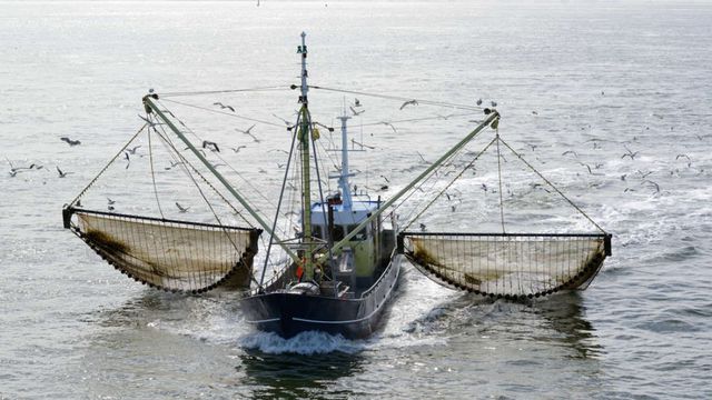 Tàu cá nước ngoài hoạt động trong vùng biển Việt Nam không có giấy phép hoặc giấy phép hết hạn sẽ bị phạt tiền lên tới 1 tỷ đồng