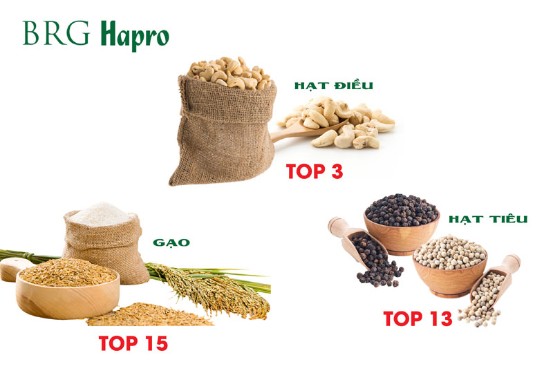 3 mặt hàng xuất khẩu chủ lực của Hapro