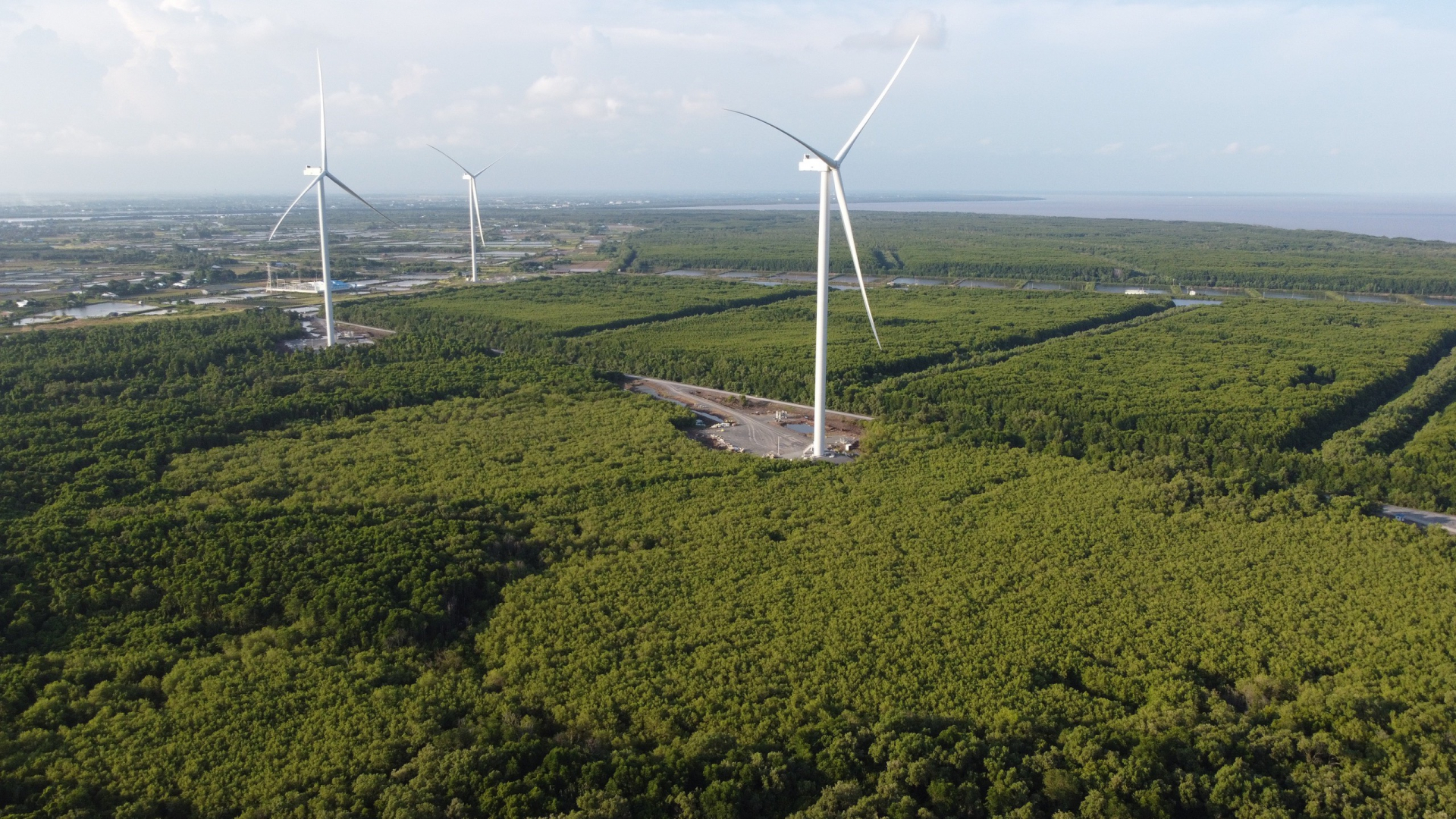 Nhà máy Điện gió Quốc Vinh Sóc Trăng được công nhận