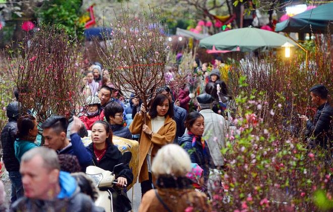 Hà Nội sẽ tổ chức 60 điểm chợ hoa xuân Tết Đinh Dậu 2017