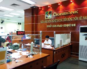 Agribank hỗ trợ các tỉnh miền Trung và Tây nguyên khắc phục hậu quả do hạn hán