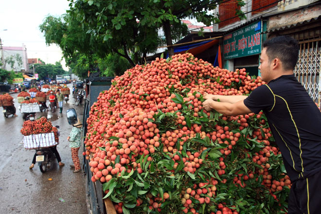 doanh nghiệp xuất khẩu hoa quả sang Quảng Tây cần phối hợp cung cấp thông tin