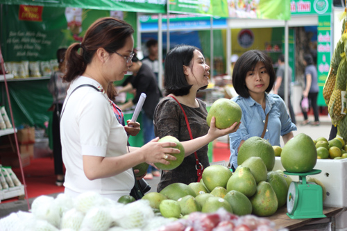 Hội chợ