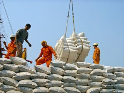Xuất khẩu gạo sang Trung Quốc đối mặt nhiều rủi ro