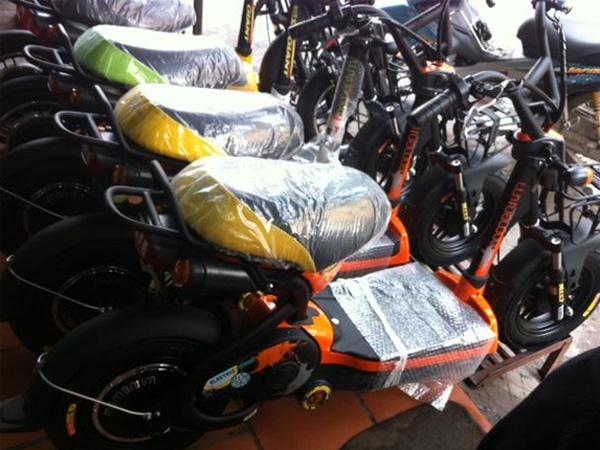 Xe đạp điện nhập khẩu tập kích thị trường Việt
