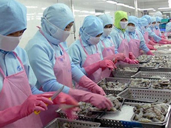 Lợi thế Việt kiều ở thị trường xuất khẩu 20 tỷ USD