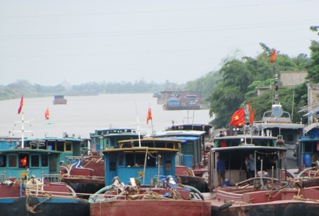 Tàu thuyền vào nơi tránh trú bão.