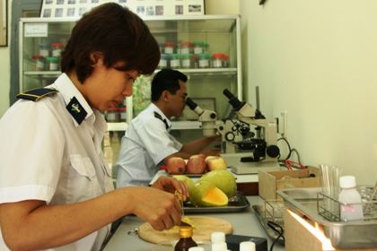 Các cơ quan chức năng tiến hành kiểm tra dư lượng thuốc bảo vệ thức vật trong hoa quả.