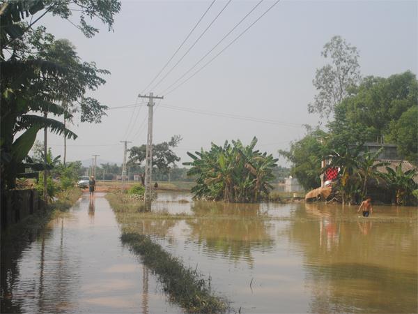 Thanh Hóa: Lụt úng cục bộ gây thiệt hại nặng nề