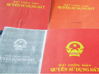 Tuyên chung thân nữ giám đốc làm giả 7 sổ đỏ