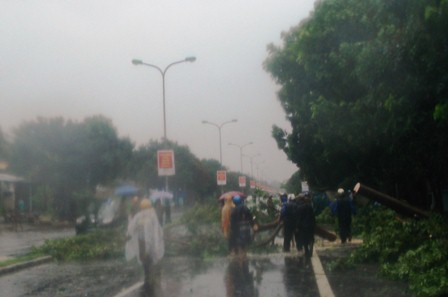 Nhiều cây gãy đổ chắn ngang QL1A qua Thị trấn Lăng Cô, huyện Phú Lộc
