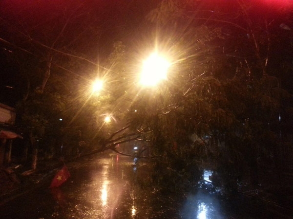 Bão, Quảng Ninh, Trung Quốc, Haiyan