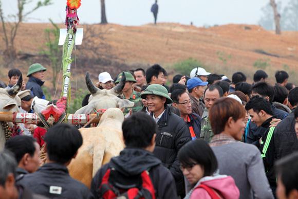 Lễ hội Tái hiện hội đua bò Bảy Núi thu hút được đông đảo người dân