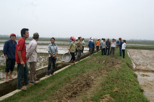 Do chỉ đạo phá mạ, dân ném bùn vào chủ tịch xã