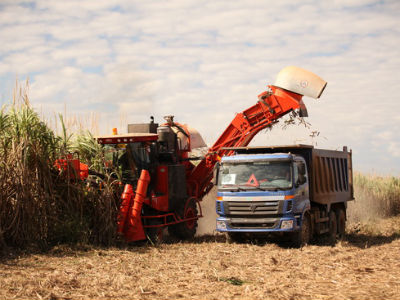 Bầu Đức sắp tạm biệt địa ốc