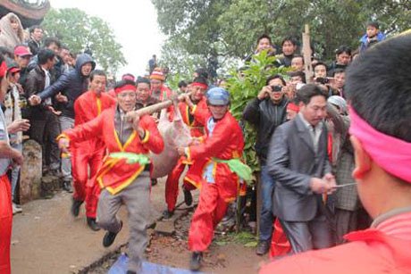 Những lễ hội tại Việt Nam khiến người xem... rùng mình
