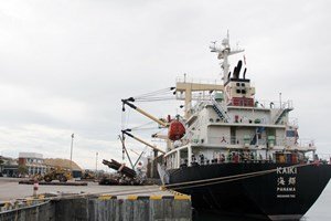 Cảng Quy Nhơn đón tàu 5 vạn tấn 'ăn hàng' đầu Xuân