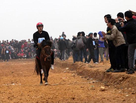 lễ hội đua ngựa truyền thống của người Mông tại Bắc, Hà Lào Cai, ảnh 11