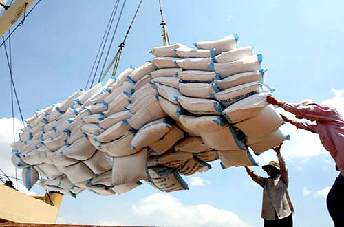 Xuất khẩu gạo tháng 2/2014 dự kiến đạt  350.000 tấn