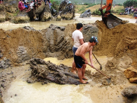 Cẩu lên xe