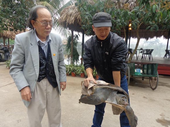 Người bắt Cua Đinh khổng lồ muốn thả xuống Hồ Gươm làm bạn với 