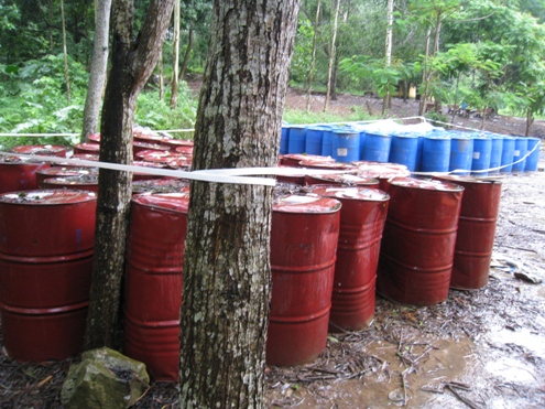 Nicotex Thanh Thái: Gần 1.000 tấn hoá chất độc hại giấu dưới lòng đất